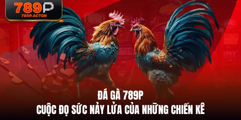 Đá Gà 789P - Cuộc Đọ Sức Nảy Lửa Của Những Chiến Kê Đá Gà 789P - Cuộc Đọ Sức Nảy Lửa Của Những Chiến Kê