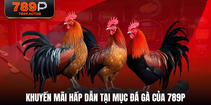 Khuyến mãi hấp dẫn tại mục Đá Gà của 789P Khuyến mãi hấp dẫn tại mục Đá Gà của 789P